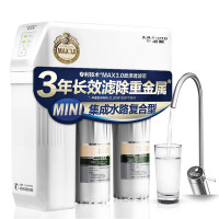 史密斯（A.O.SMITH）家用净水器 1升分钟 标配专利智能滤芯更换提示龙头 低废水比即滤反渗透净水机NL1200D