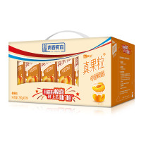 蒙牛 真果粒牛奶饮品（桃果粒）250g12 礼盒装