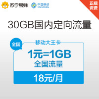 【赠品不单卖SC】移动大王卡18元月租1元1GB全国流量预存20元送198元