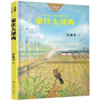 家住大泽西/大作家.小时候