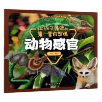 动物感官/让孩子着迷的第一堂自然课
