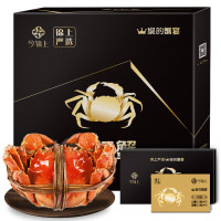 今锦上 锦上严选788型