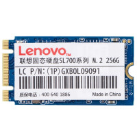 联想（Lenovo）SL700 256G M.2 2242 固态宝系列 SSD固态硬盘 HB
