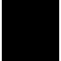 齐心 R919 商务专用中性替芯 黑 办公 黑色