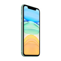 Apple iPhone 11 64G 绿色 移动联通电信4G全网通手机/LT