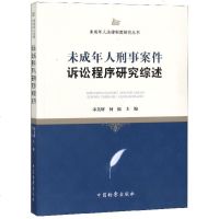 未成年人刑事案件诉讼程序研究综述/未成年人法律制度研究丛书