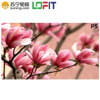 洛菲特（LOFIT）LED显示屏 P5户外全彩小间距LED 室外广告屏无缝拼接大屏商用显示器整包套装LFTHL50PW