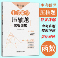 正版 周计划中考数学压轴题高效训练(函数) 初中数学函数专题 二次函数三角函数 九年级中考数学知识点4C77JW