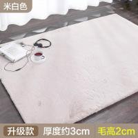 加厚长毛绒地毯卧室床边毯北欧网红仿兔毛飘窗满铺房间客厅茶几垫_1_490_288 50×160CM 米白色（升级款）
