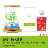 斗鱼生态瓶封闭小鱼瓶免换水瓶装观赏鱼玻璃桌面透明微景观鱼小型_1 默认尺寸 旋转鱼缸-懒人套餐一