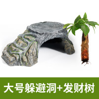 晒龟台乌龟晒台爬台龟缸晒背石躲避洞晒背养龟天然石头爬坡台造景 默认尺寸 大号+发财树