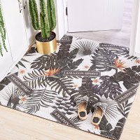 北欧丝圈可裁剪地垫进入户家用客厅地毯PVC垫塑料易清洗脚垫 60*90cm 白底英文绿植可裁丝圈地垫