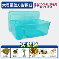 乌龟缸带晒台小鱼缸养乌龟专用缸塑料手提盆水陆缸送小乌龟 默认尺寸 方形大号标配送乌龟