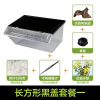 小号饲养箱塑料透明蝎子守宫蜥蜴养殖箱陆龟昆虫鸣虫饲养盒_1_223 默认尺寸 长方形黑盖套餐一