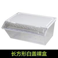 小号饲养箱塑料透明蝎子守宫蜥蜴养殖箱陆龟昆虫鸣虫饲养盒_1_223 默认尺寸 长方形白盖裸盒
