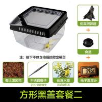 小号饲养箱塑料透明蝎子守宫蜥蜴养殖箱陆龟昆虫鸣虫饲养盒_1_223 默认尺寸 方形黑盖套餐二