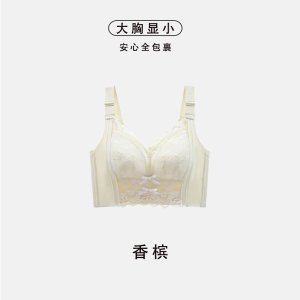 调整型内衣女大胸显小胸聚拢收副乳文胸蕾丝上托矫正外扩下垂胸罩