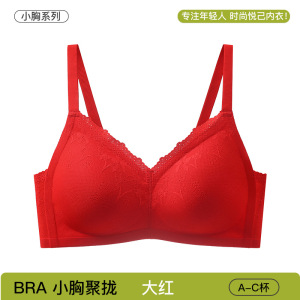 春夏款无痕蕾丝内衣女小胸薄款文胸聚拢防下垂提拉舒适固定杯胸罩