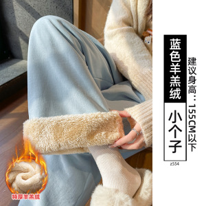 蓝色奶芙山本裤女秋冬季新款加厚羊羔绒棉裤直筒休闲加绒阔腿裤子_901