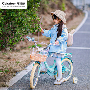 cakalyen儿童自行车女孩公主中大童单车3-6岁-12辅助轮女童儿童车