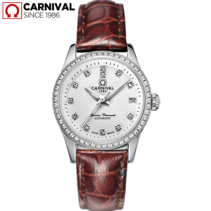 瑞士嘉年华Carnival正品新款手表自动机械表 女士休闲时尚满天星水钻商务女表夜光防水金属精钢腕表JNH8678