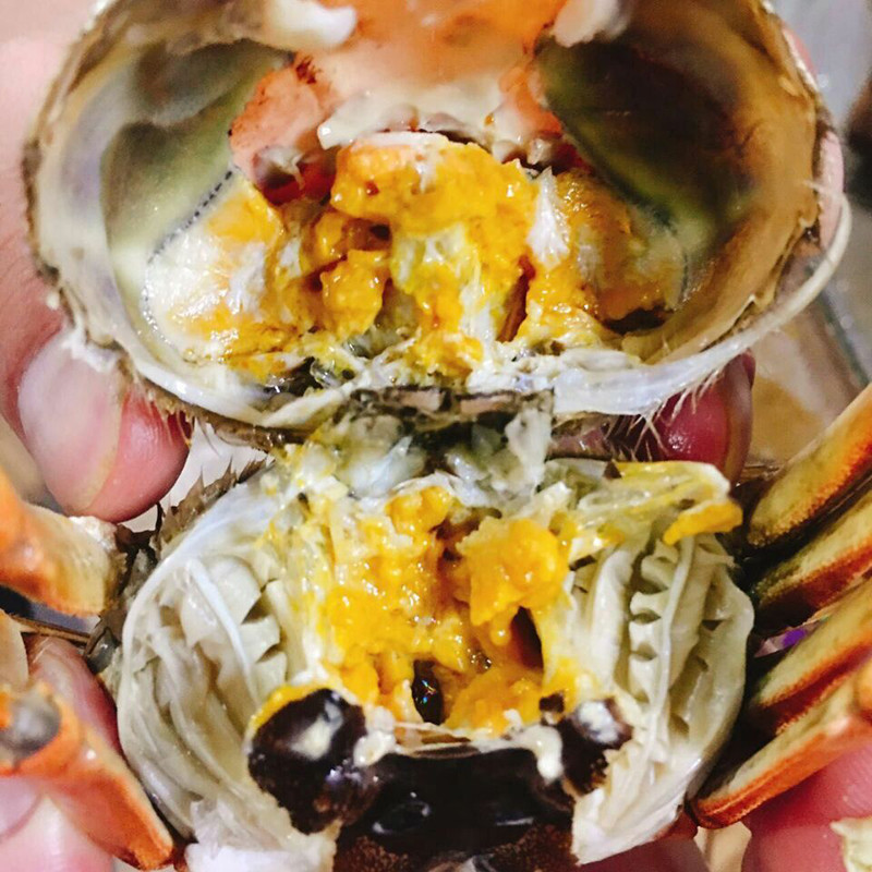 食在今秋,品味九龙口,九龙口大闸蟹,出口品质,高性价比.