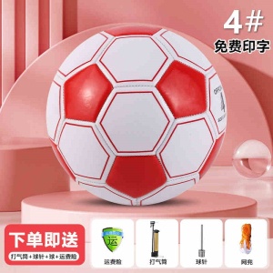 闪电客足球儿童中小学生4号中考5号成人比赛训练3号幼儿园软皮足球