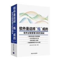 清华大学出版社软件工程\/开发项目管理和数据