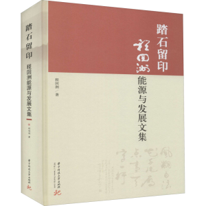 正版新书]踏石留印 程回洲能源与发展文集程回洲9787568074483