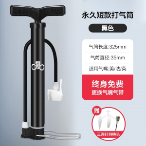 永久自行车家用便携式小电动电瓶充气管子泵篮球单车桶汽简
