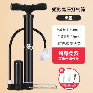 永久自行车家用便携式小电动电瓶充气管子泵篮球单车桶汽简