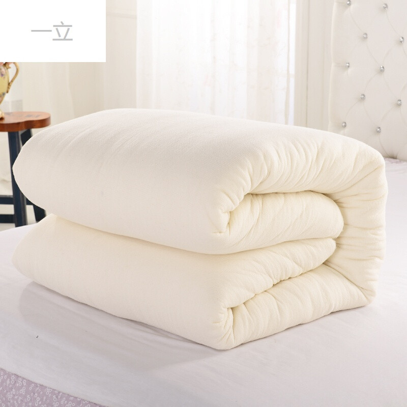家纺品牌2017秋冬款棉被子棉花被冬季棉花被