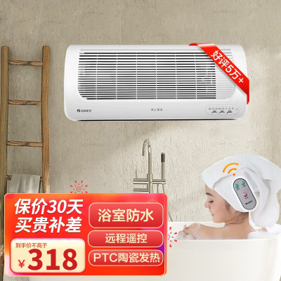 格力(GREE)壁挂式取暖器 NBFC-X6021B 家用浴室暖风机遥控电暖器热风机即开即热暖气冷风机[遥控款]