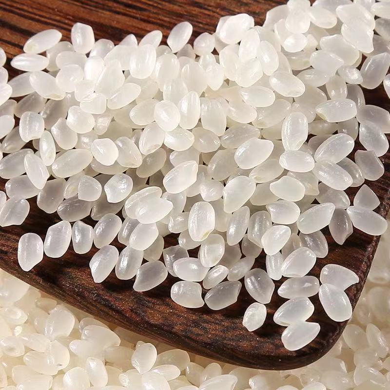 庆安大米 东北圆粒香大米【一斤半】新米 梗米东北大米750g