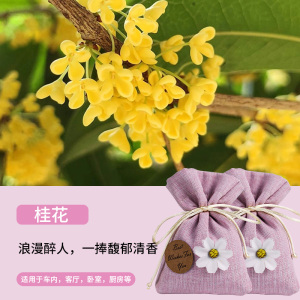[补贴10%]车载香水香薰汽车内除异味香包囊高级挂件车用香袋饰品实用淡香