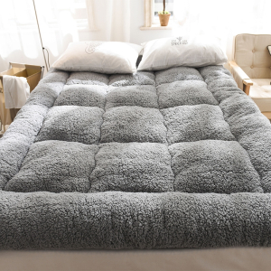 迪玛森秋冬季加厚保暖羊羔绒床垫软垫家用1.5m床1.8x2米褥子榻榻米垫褥