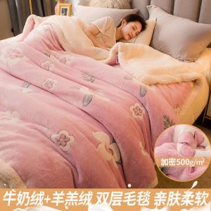 毛毯被子冬季加厚珊瑚绒法兰绒床单盖毯春秋单人毯子床上用