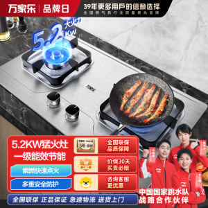 万家乐聚能猛火燃气双灶家用 煤气炉台式嵌入式5.2KW快速点火 3D立体加热 一级能效全进风 加厚不锈钢面AY8G天然气