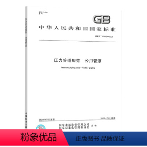 [正版]GB/T 38942-2020压力管道规范 公用管道 合订本 中国标准出版社