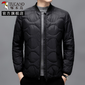 啄木鸟羽绒服内胆男2024冬新款轻薄休闲立领保暖外套长袖时尚百搭