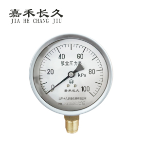 嘉禾长久 膜盒压力表检测型 YE100 块