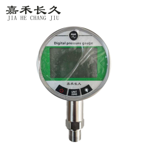 嘉禾长久+精密数字压力计 精密数字压力表检测定制型+YS100 0.2级+台