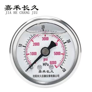 嘉禾长久 耐震压力表检测定制型 YTN50Z 块