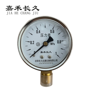 嘉禾长久 压力表检测型 Y60 块