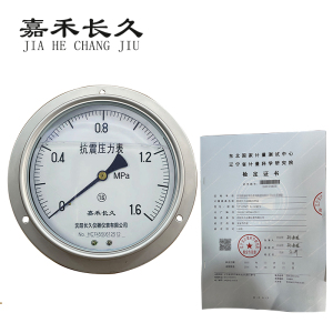 嘉禾长久 耐震压力表轴向带边(带辽宁省级检定证书)YTN150ZT 块