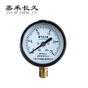 嘉禾长久 氧气压力表检测型 YO60 块