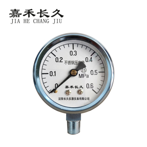嘉禾长久 不锈钢压力表检测型 Y60BF 块
