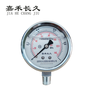 嘉禾长久 不锈钢耐震压力表检测型 YN60BF 块