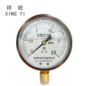 祥屹+耐震压力表检测定制型+YTN100+块