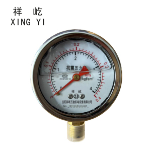 祥屹+耐震压力表检测定制型+YTN60+块